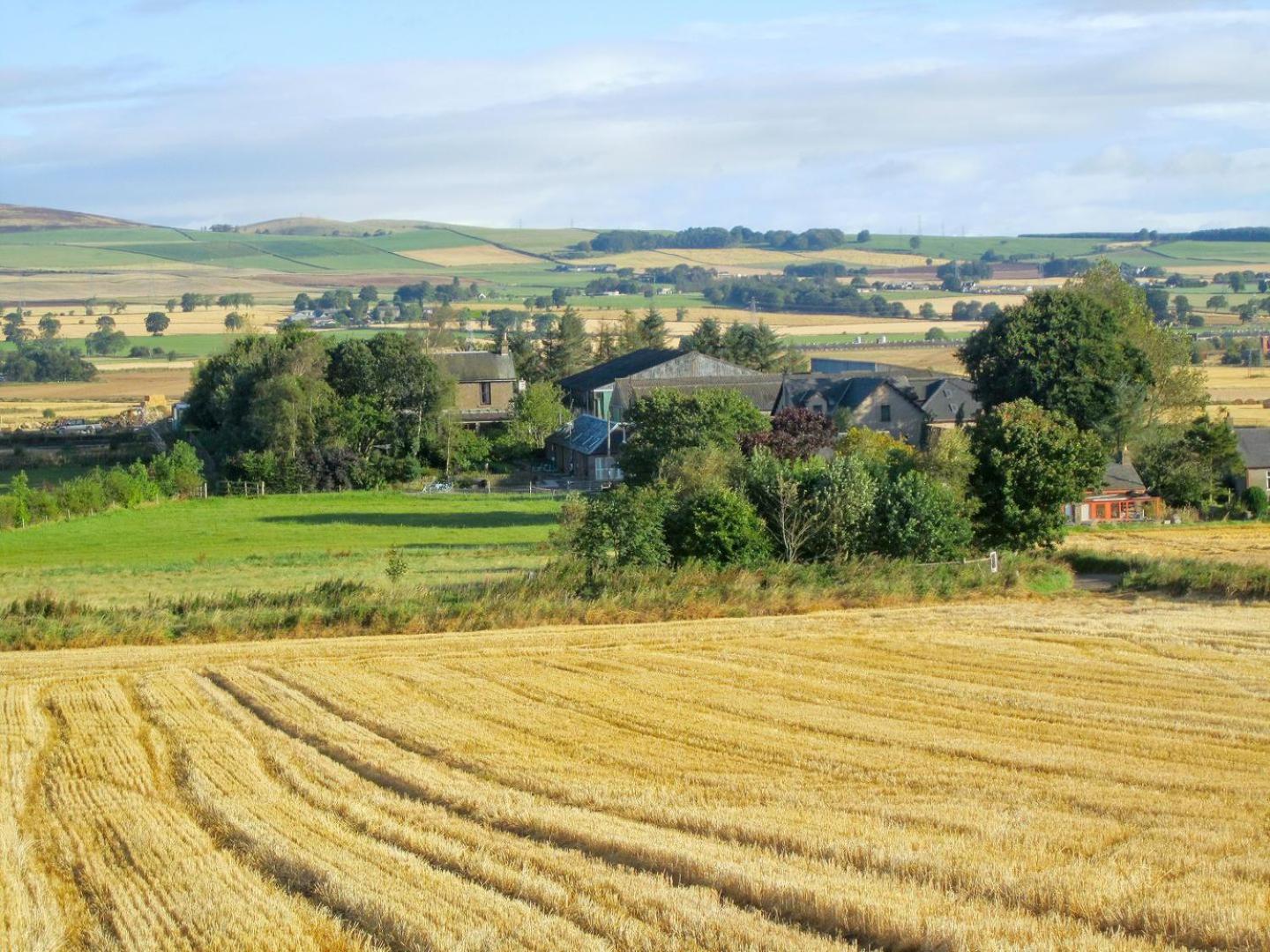 Appletree Cottage Kirkton of Tealing Εξωτερικό φωτογραφία