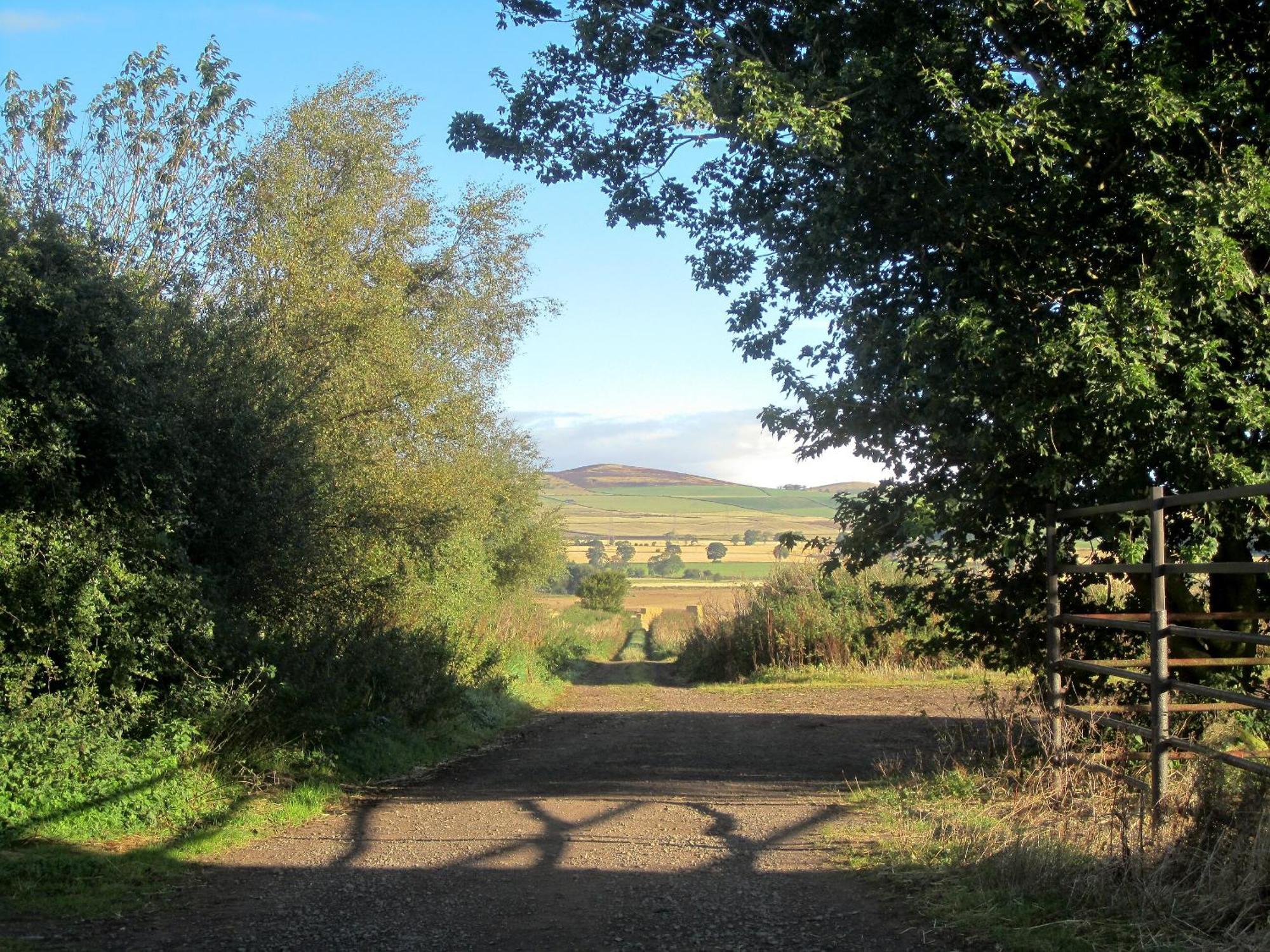 Appletree Cottage Kirkton of Tealing Εξωτερικό φωτογραφία