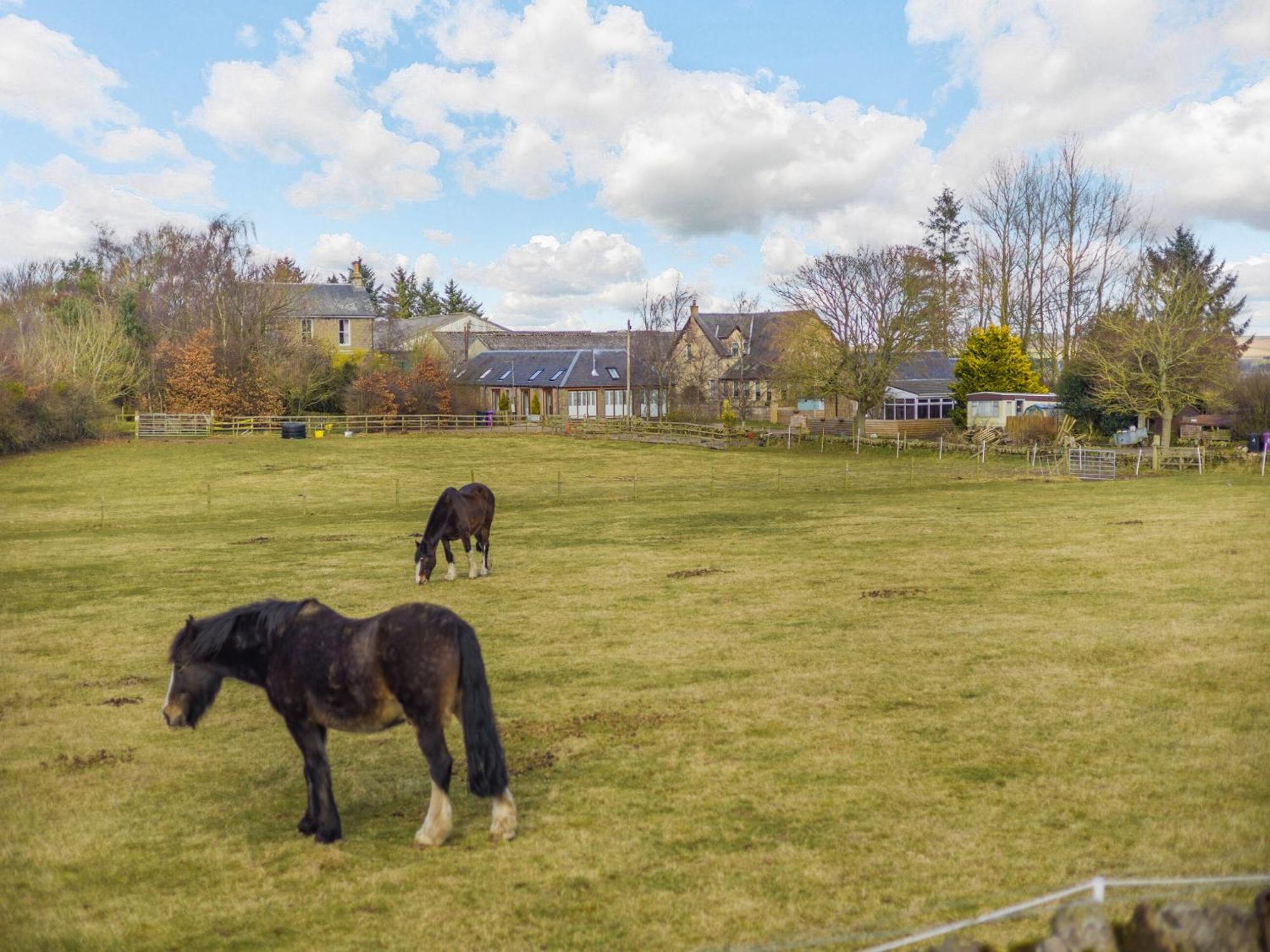 Appletree Cottage Kirkton of Tealing Εξωτερικό φωτογραφία